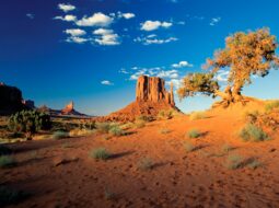 Arizona retirement planning