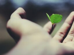 investing myths
