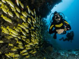 Scuba Diving